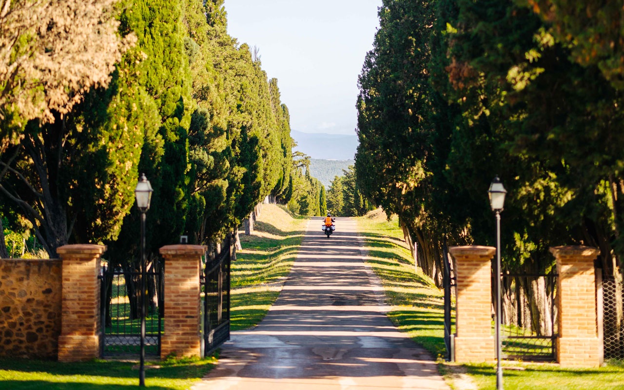 The Cypress-Lined Entrance Avenue, ColleMassari Hospitality