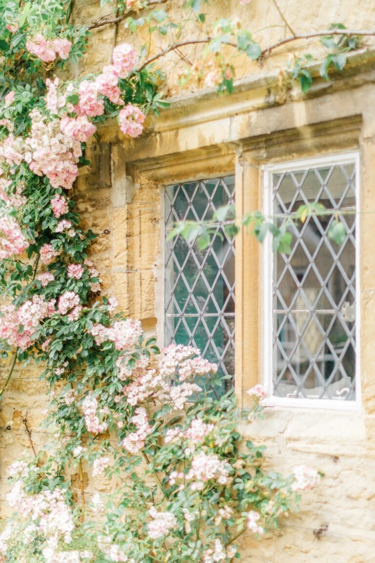 A climbing rose beside a leaded window, Cornwell Manor