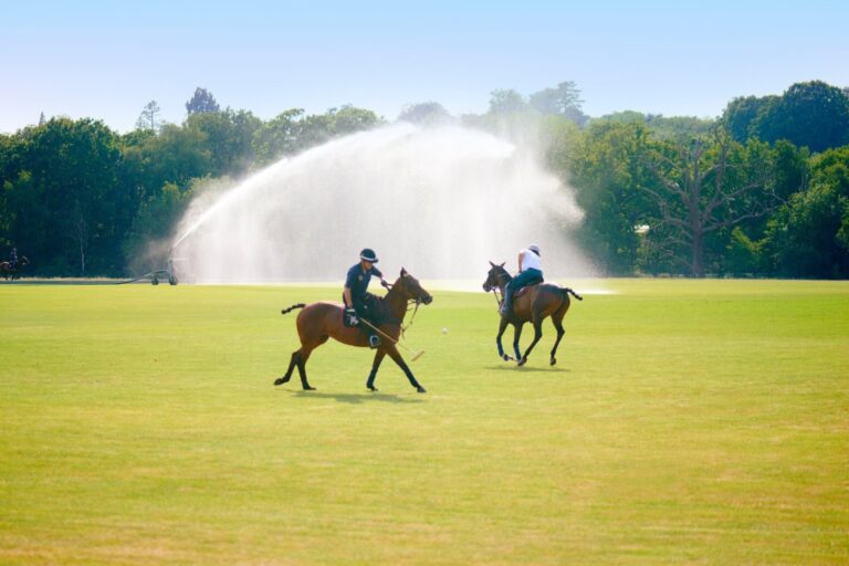 Polo on the Estate's Own Fields, Coworth Park