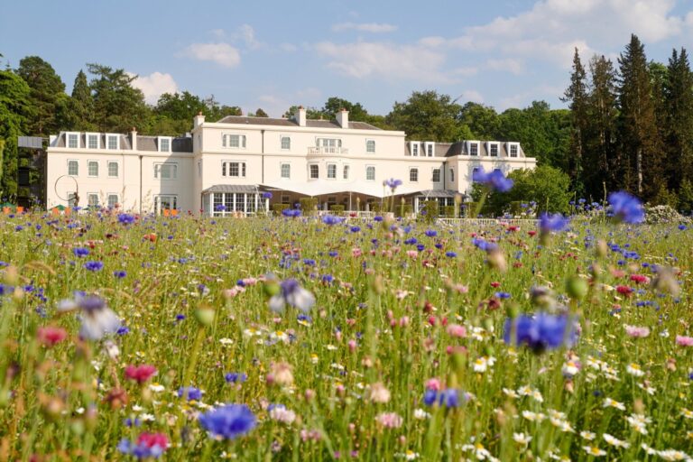 The Wildflower Meadow and the Mansion House, Coworth Park