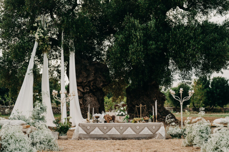 Ceremony set-up beneath ancient olive trees with draped white fabric at Masseria Montenapoleone, Puglia, Denise More