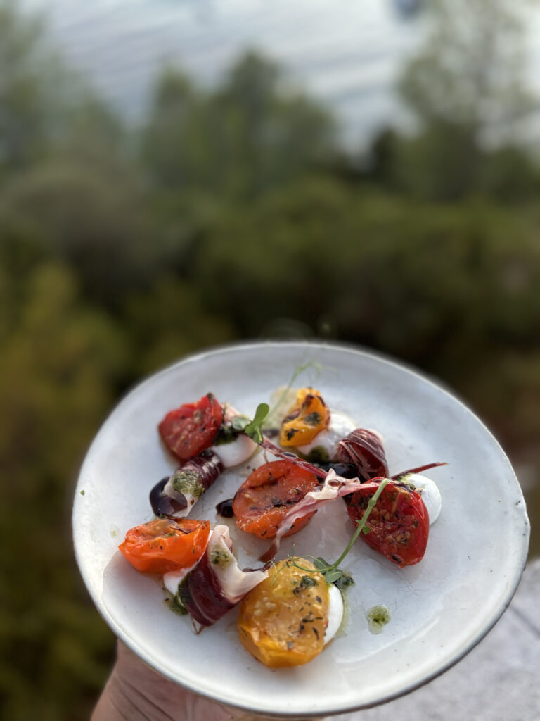 A plated dish held up against the pines, Domaine de Canaille
