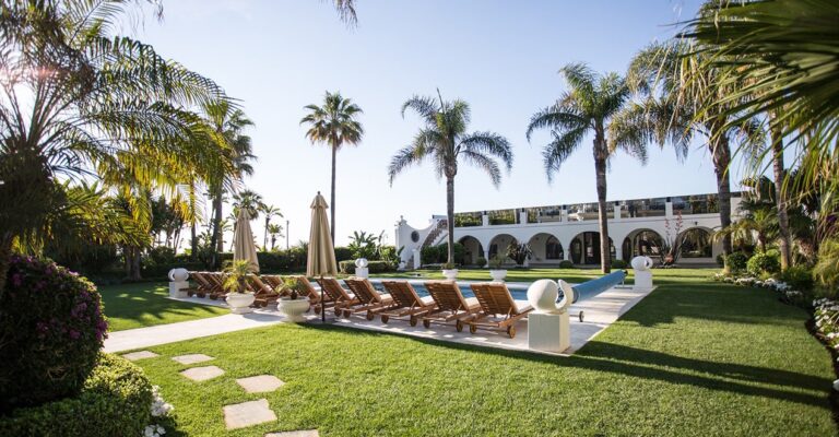 The gardens and the palms of the estate, El Martinete Villa