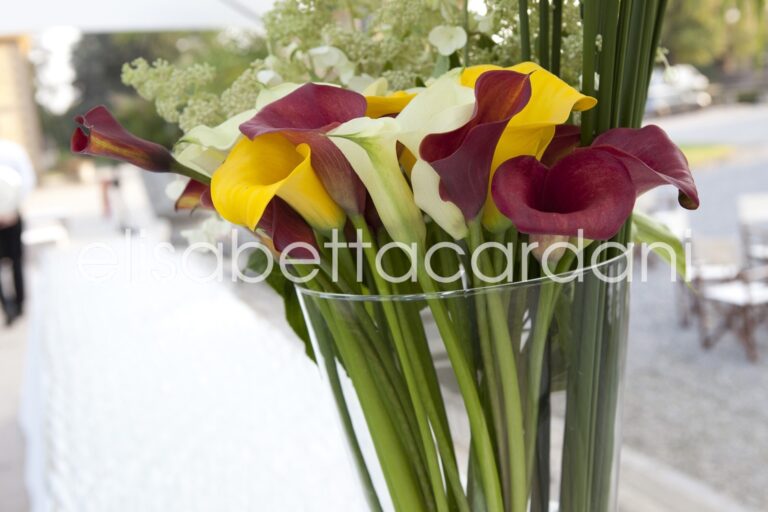 A calla lily arrangement in burgundy, yellow and white, Elisabetta Cardani