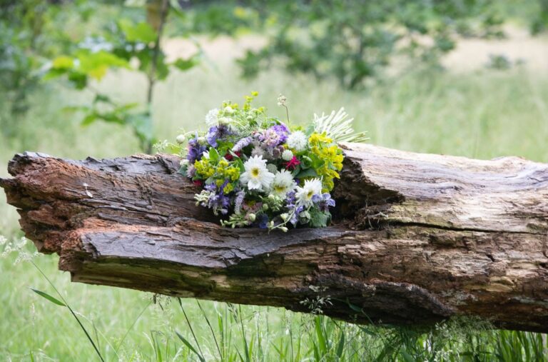 A wildflower bouquet, EMFD's Hyde Park Fields planting, Elizabeth Marsh Floral Design