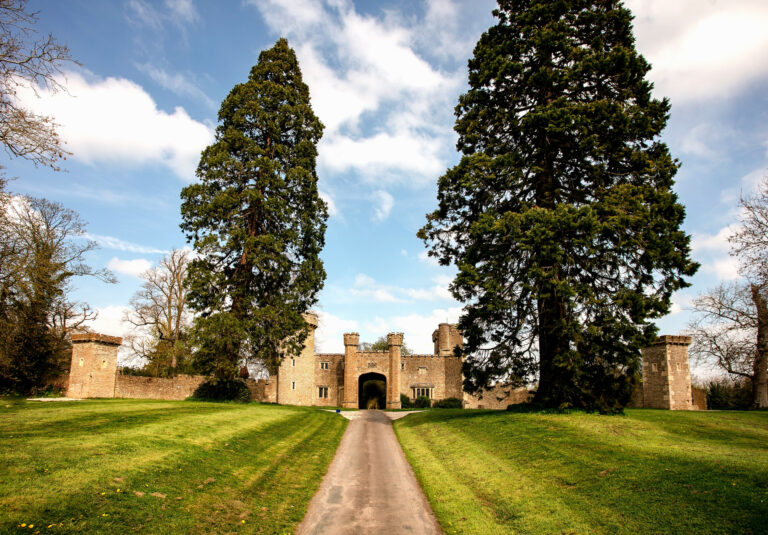 The drive to Orchardleigh Castle, where the wedding party stays the night before, between two tall redwoods, Elmhay Park