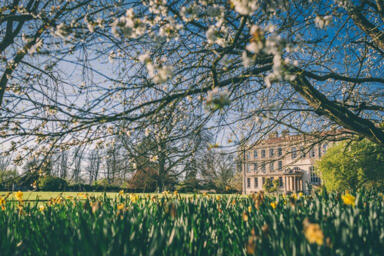 The main house glimpsed through spring blossom, Elmore Court