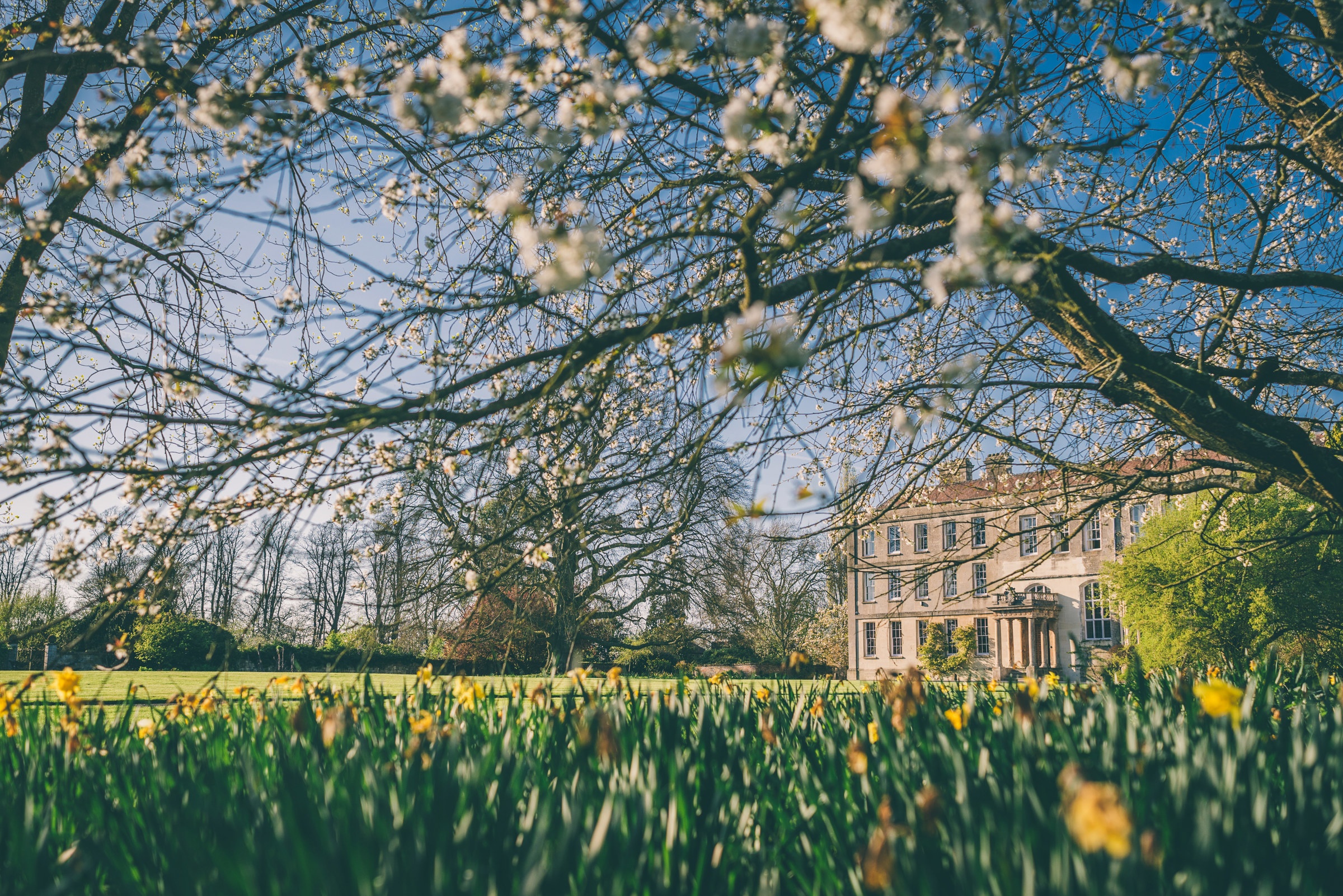 The main house glimpsed through spring blossom, Elmore Court