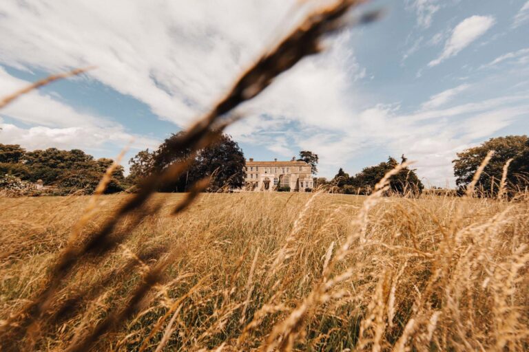The rewilded parkland, the house in the distance, Elmore Court