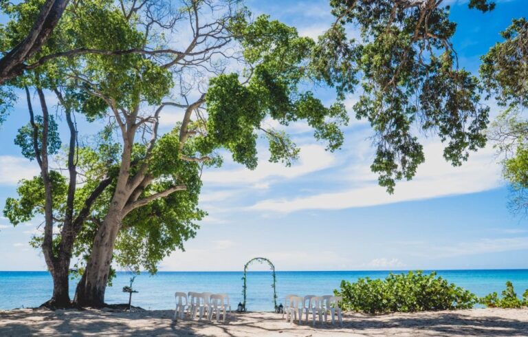 A leafy arch and two rows of chairs on the shore, framed by sea grape trees and a blue sky, Elope Barbados