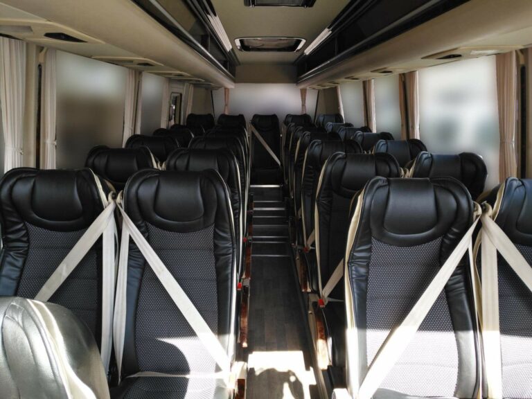 Coach interior with leather seats dressed with white ribbons for a wedding, Enjoy Tour Tuscany