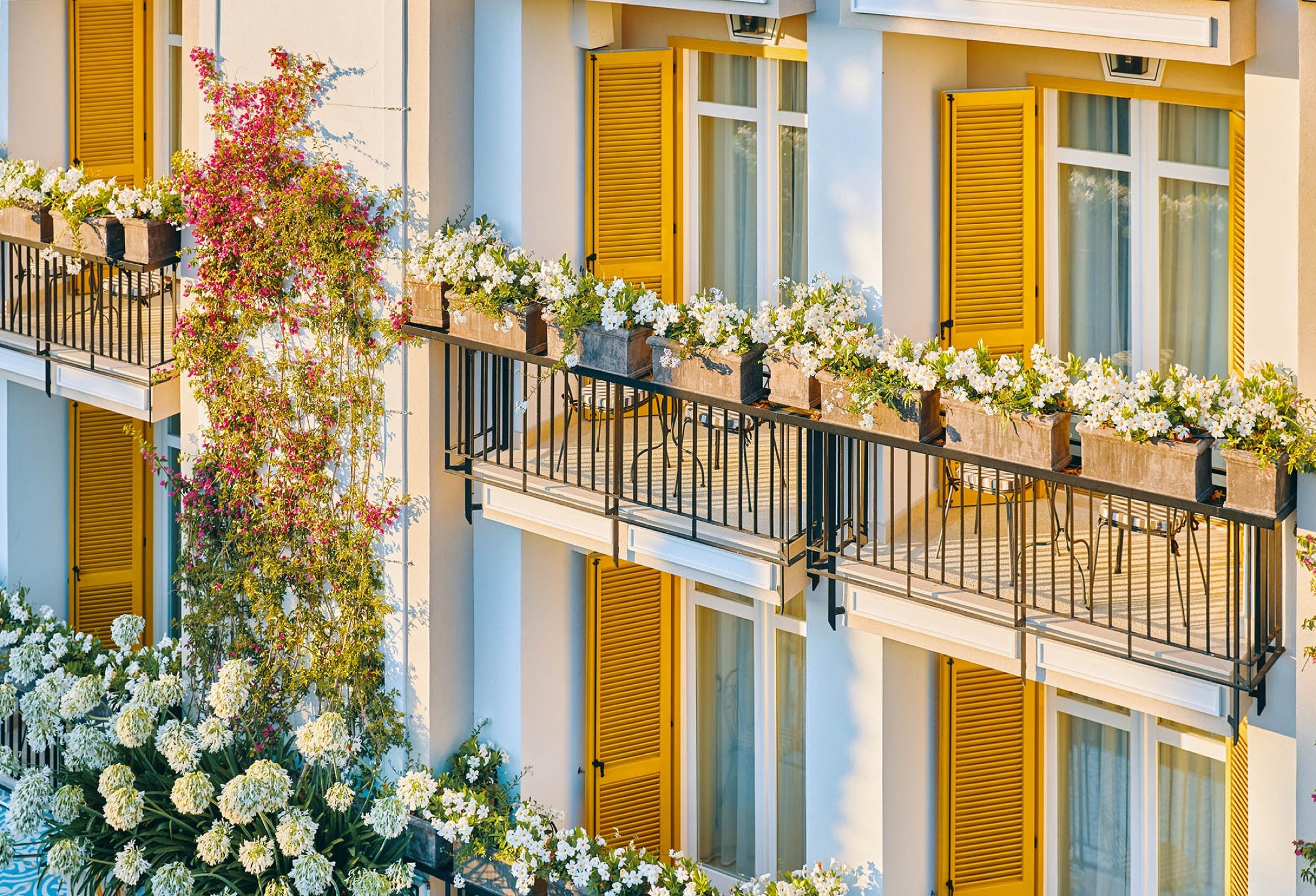 The yellow-shuttered facade, hung with roses, Esplanade Boutique Hotel