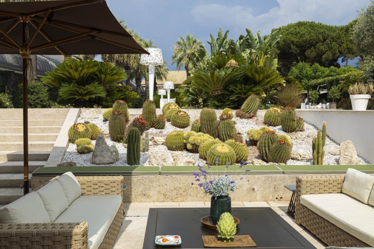 A garden lounge among the cacti and palms, Esplanade Boutique Hotel