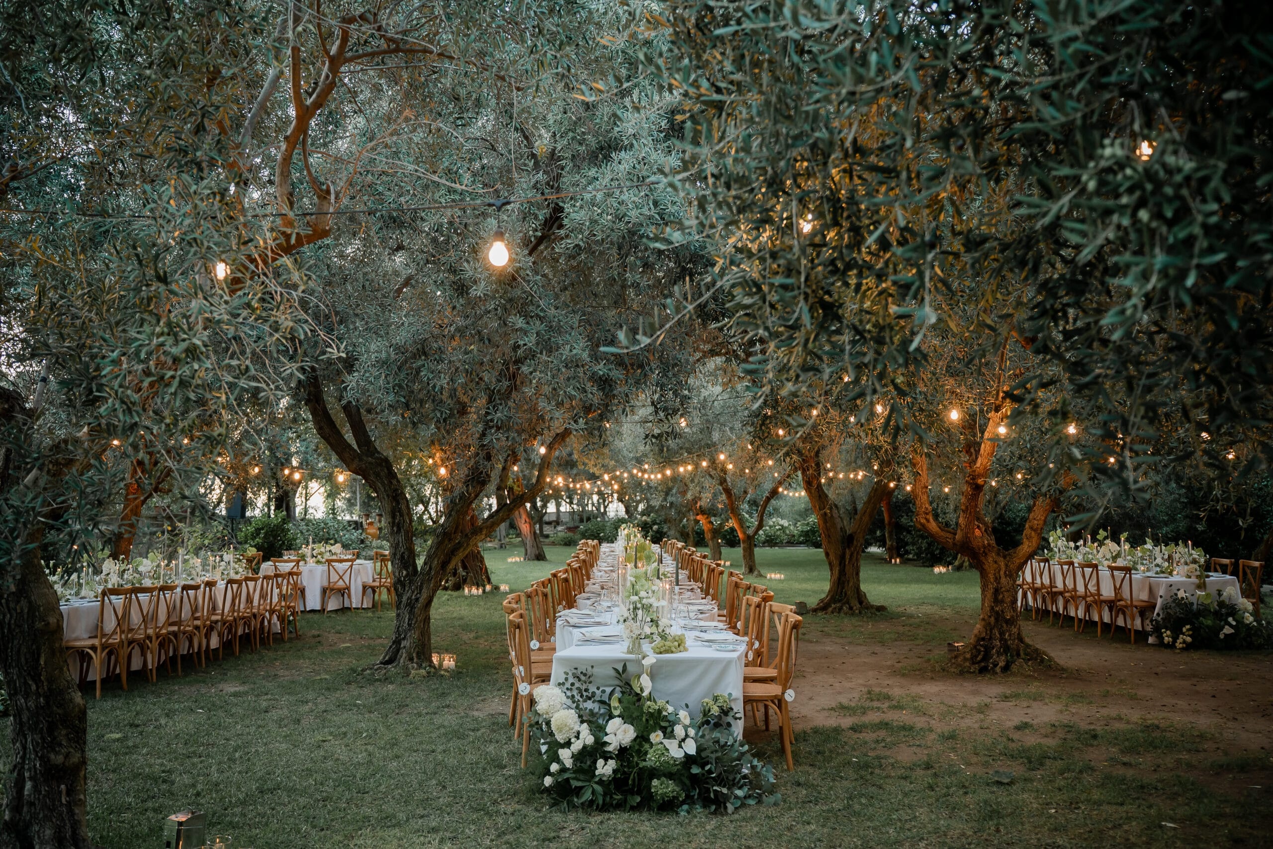 The olive grove after sunset, festoon lights above the tables, Ester Chianelli Weddings & Events