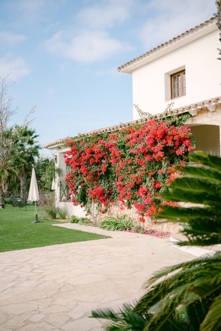 Bougainvillea facade of the main farmhouse, Finca La Concertista