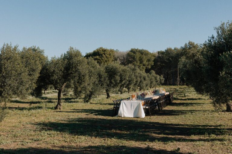 Finca La Concertista, Finca La Concertista
