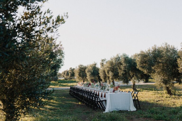 Finca La Concertista, Finca La Concertista