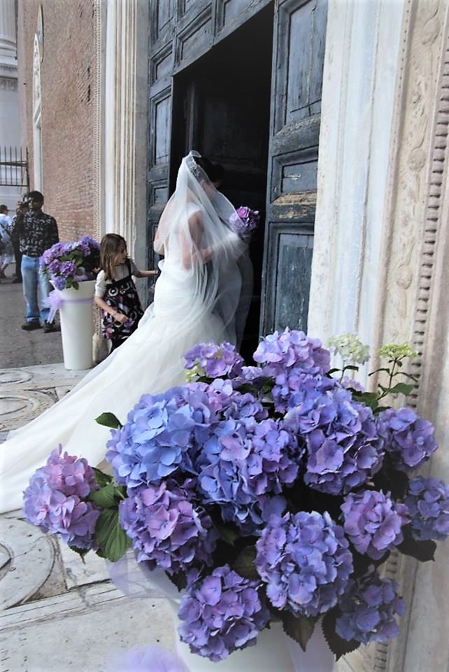 Bride entering a church past a bank of blue hydrangeas, Fiori Amore Fantasia