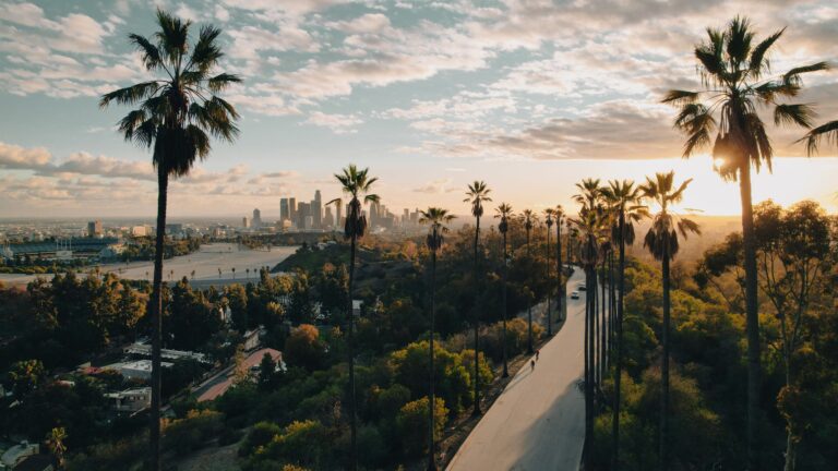City skyline and palms at sunset, Four Seasons Los Angeles at Beverly Hills