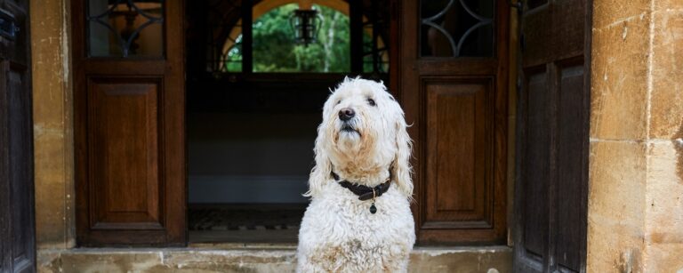 , Foxhill Manor Wedding