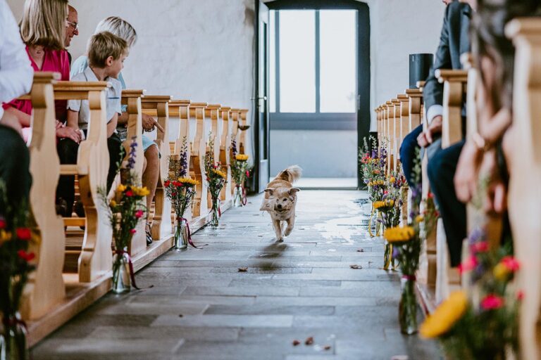 Wooden pews with flowers along the aisle, Frutt Mountain Resort