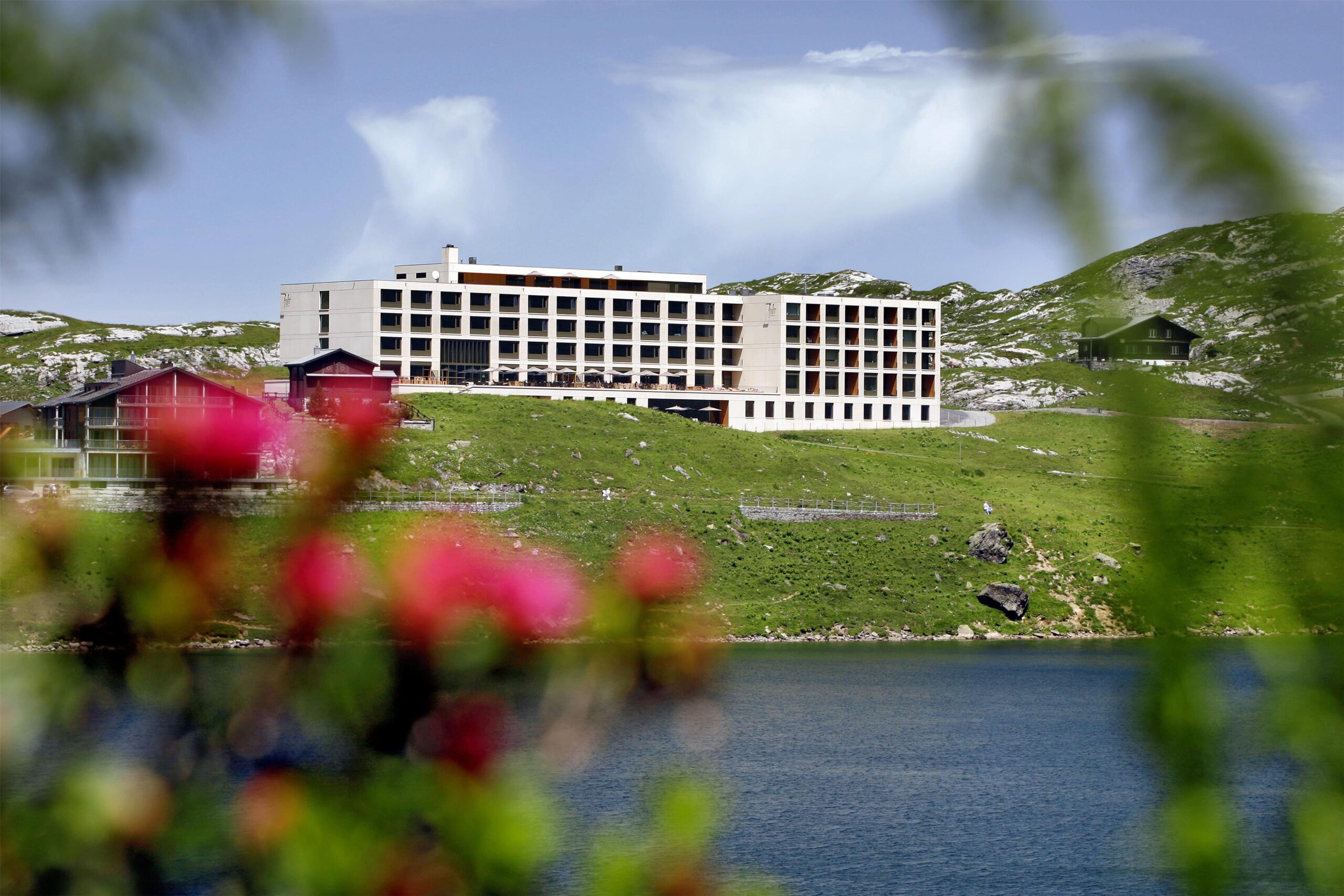 The resort and lake behind alpine flowers, Frutt Mountain Resort