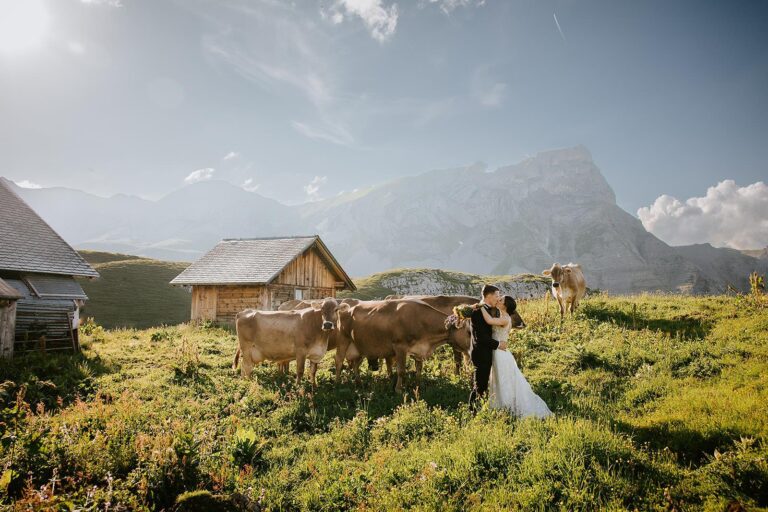 A couple with cattle on the alpine pasture, Frutt Mountain Resort
