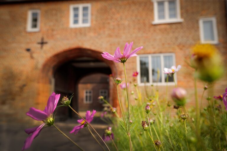 A palace archway with wildflowers gathered at its foot, a window framed in old brick, Fulham Palace