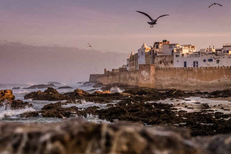 The ramparts of Essaouira at dusk, gulls over the Atlantic rocks, Giandomenico Cosentino Photography