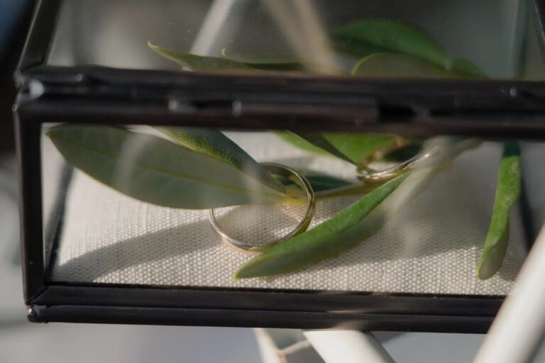 Wedding rings resting on olive leaves in a glass box, Puglia, Giuseppe Suma Weddings