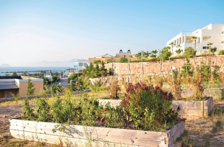 Terraced gardens below the hotel, Grand Blue Kos Hotel