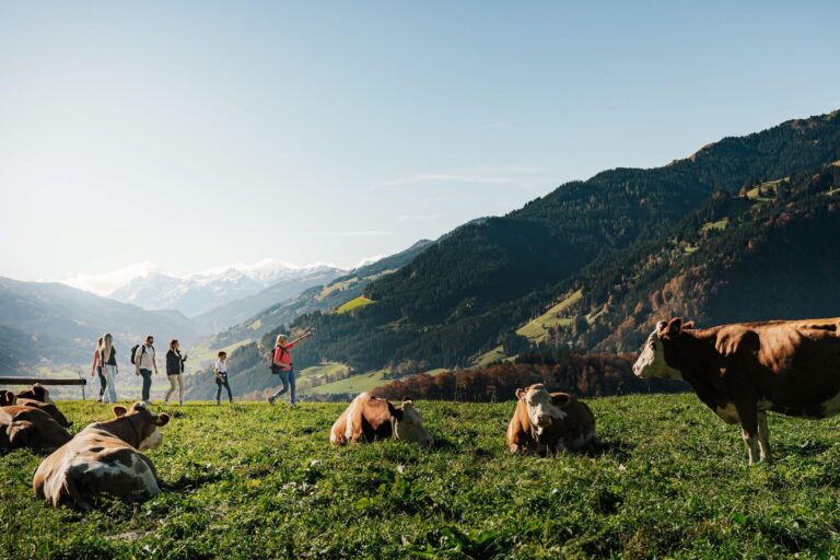 Guided hiking in the Kitzbühel Alps, Grand Tirolia Kitzbuhel