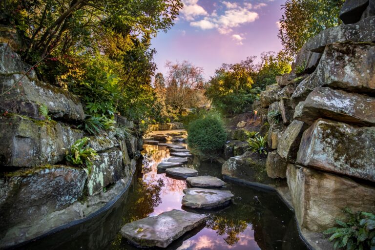 Stepping stones across the Japanese Garden stream between Brimham stone outcrops, Grantley Hall