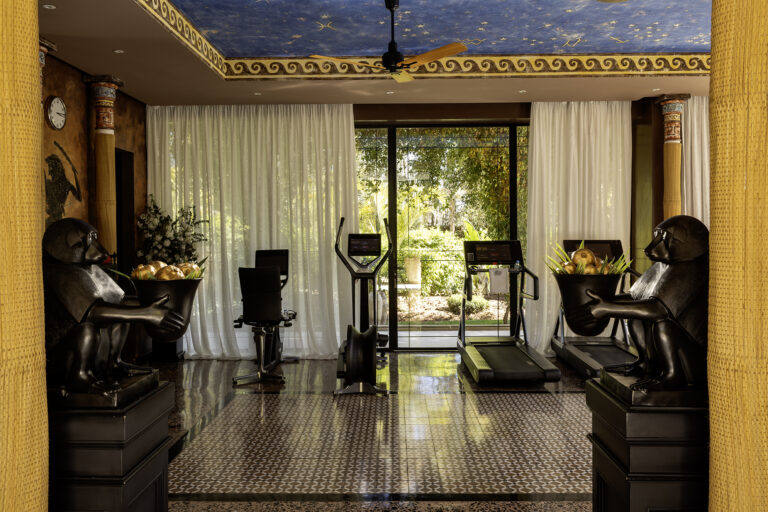The fitness room, Hôtel Palais Ronsard Relais & Châteaux