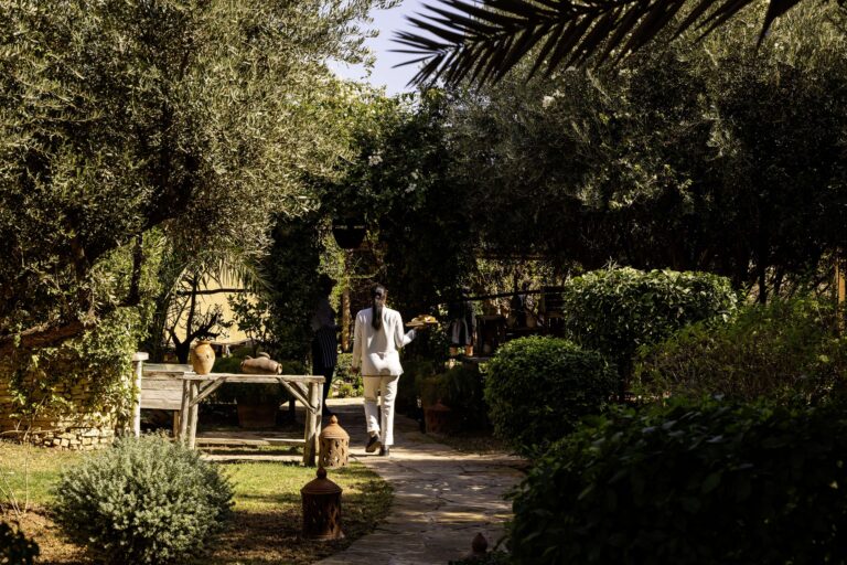 Olive trees and garden paths, Hôtel Palais Ronsard Relais & Châteaux