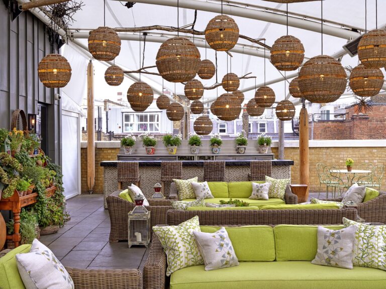 The roof terrace