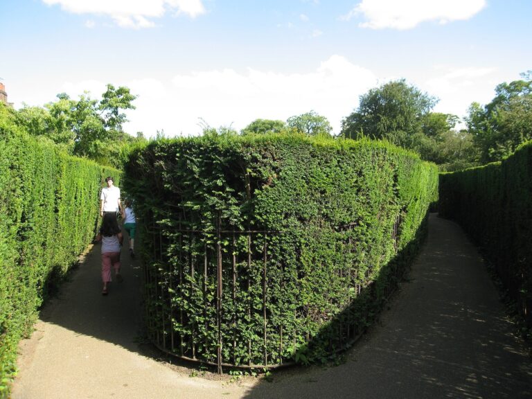 The palace's celebrated hedge maze, a visitor deep in its clipped yew corridors, Hampton Court Palace