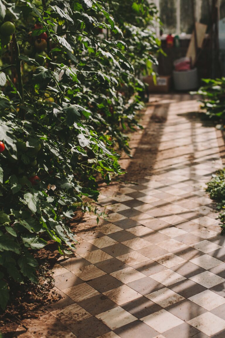 A chequerboard brick path winding through the planted gardens, Hampton Manor