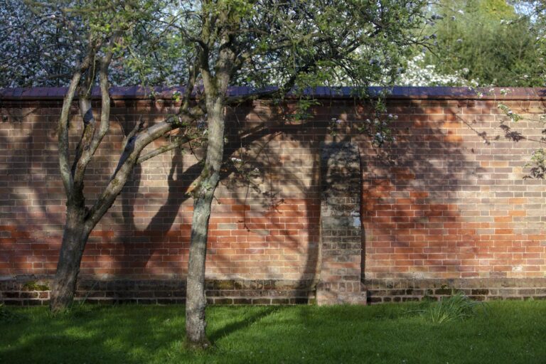 Fruit trees and lawn within the old brick walls of the garden, Hampton Manor