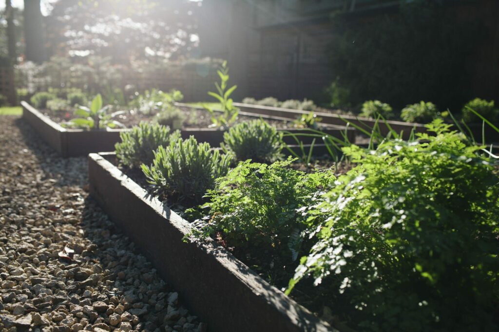 Food grown on the estate