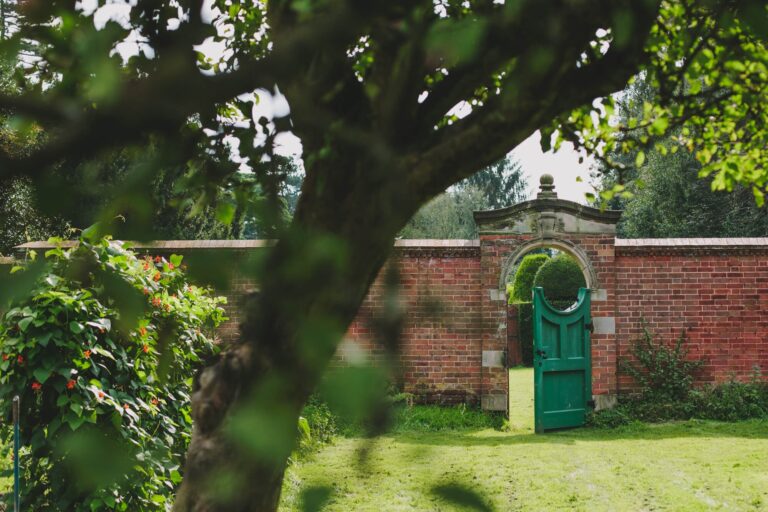 A green door in the garden wall, an old tree spreading beside it, Hampton Manor