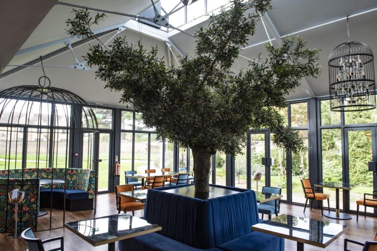 The glass-roofed orangery that houses Prévost, with an olive tree, birdcage chandeliers and garden views, Haycock Manor