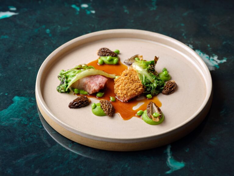 Lamb with morels, peas and a sauce on a stoneware plate, Haycock Manor