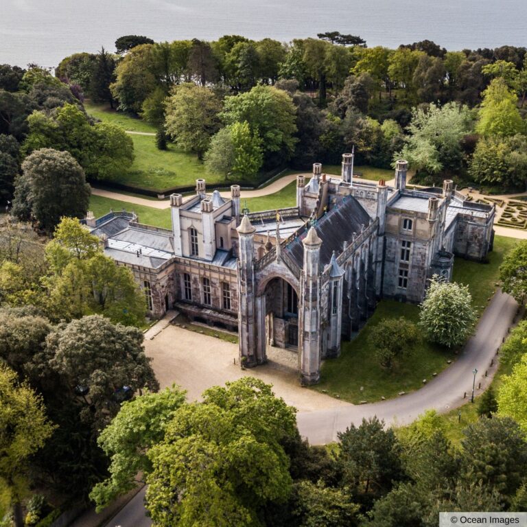 The castle and woodland seen from above, Highcliffe Castle