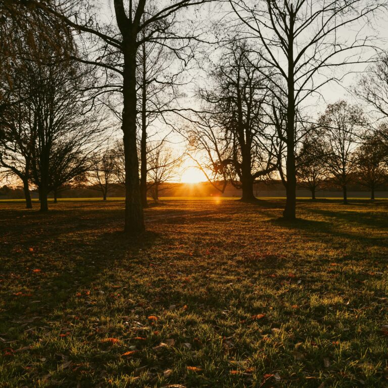 , Hintlesham Hall