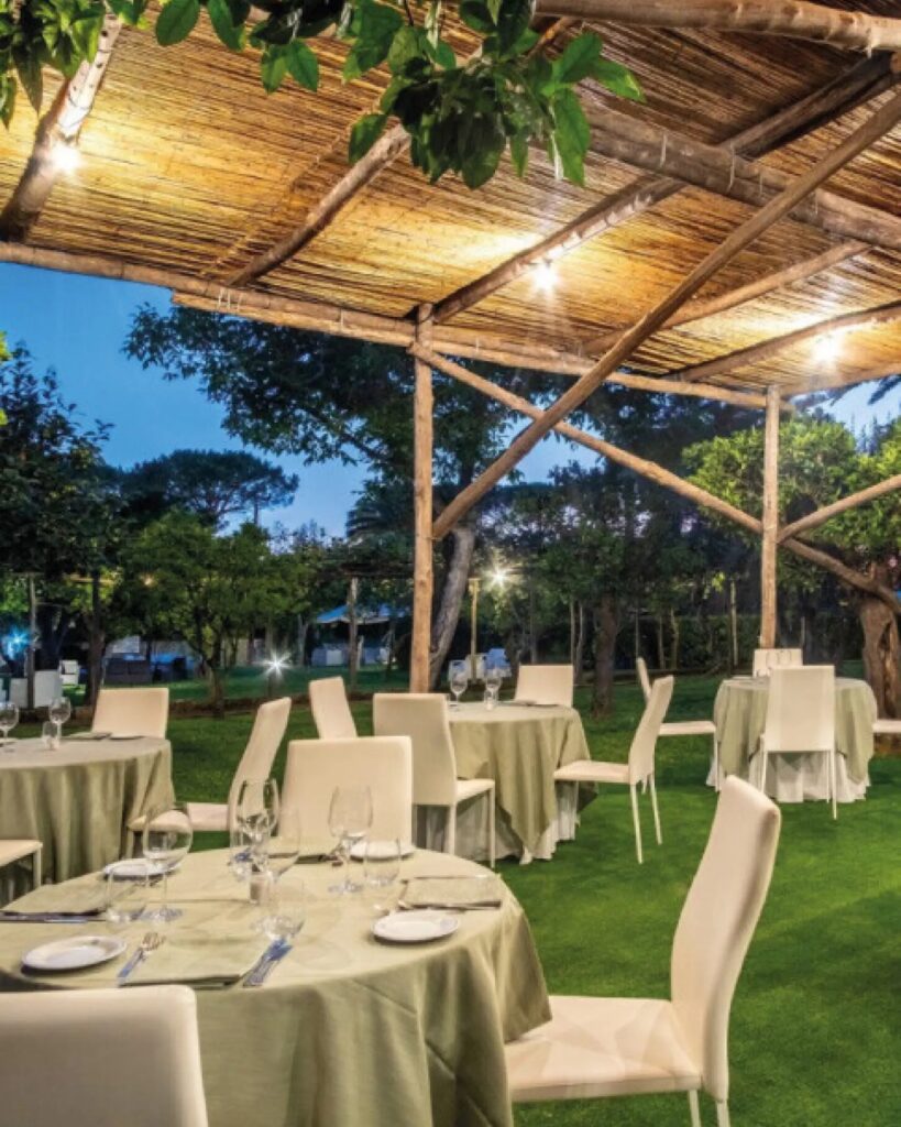 From the vegetable garden to the table