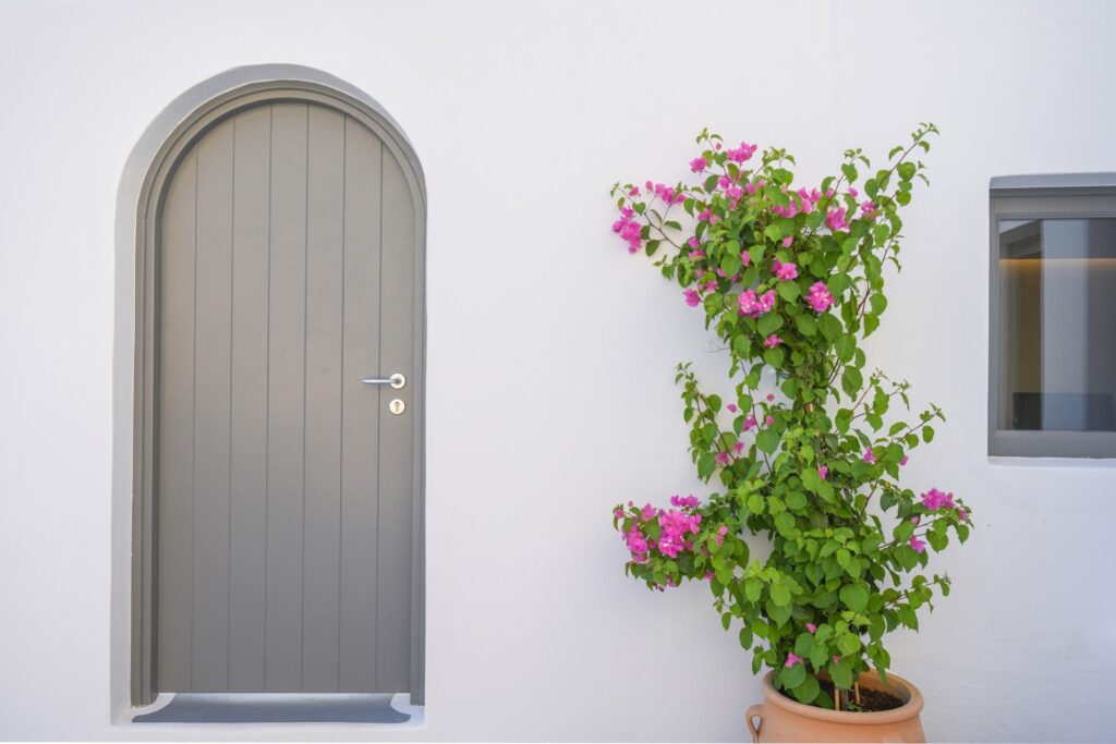 A grey arched door and bougainvillea on a whitewashed wall, Ikies Traditional Houses