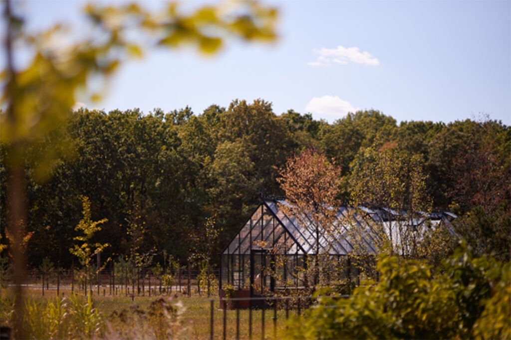 The glasshouse among the trees at the forest edge, Iris Orangerie