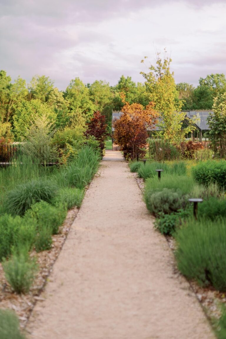 Garden path through the planting, Iris Orangerie