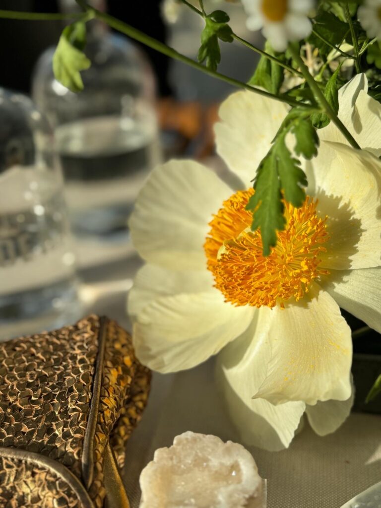 A single white peony catches the light on a glasshouse table, Jamie Aston